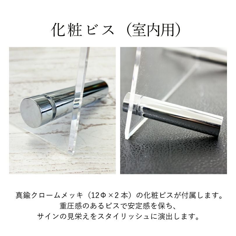 素材の説明　自立用　化粧ビス