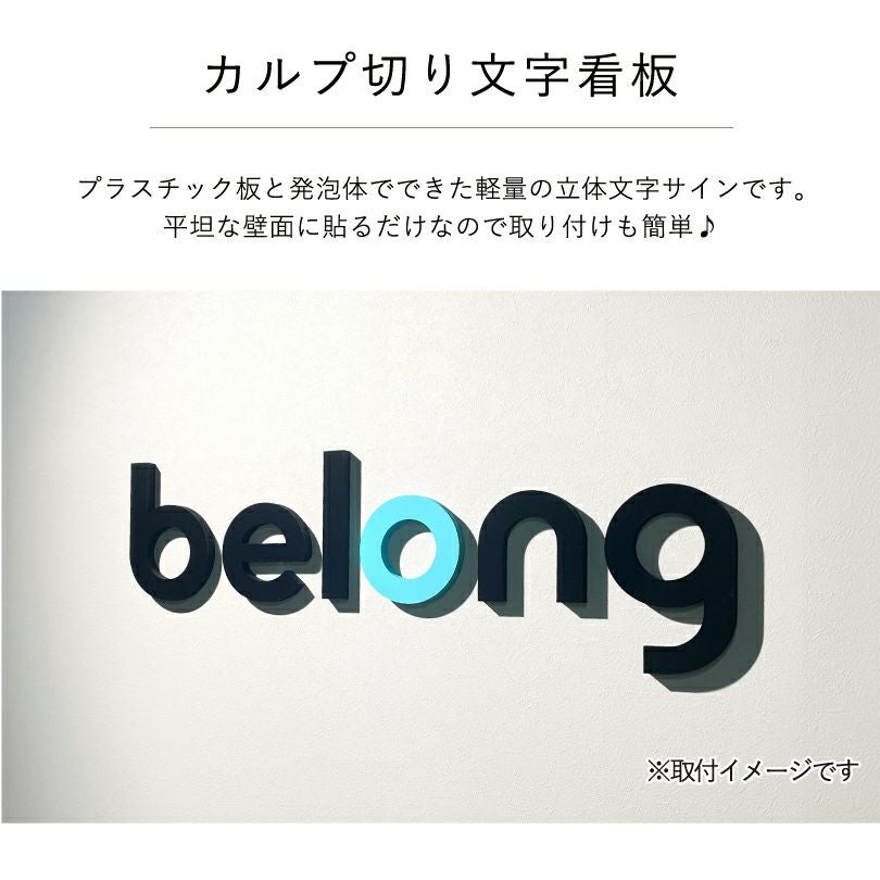 カルプ　切り文字　看板　ロゴサイ　屋内サイン文字 会社銘板ン