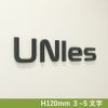 カルプ切り文字　簡単設置　会社の看板